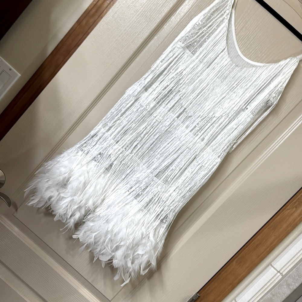 Feathered dance dress